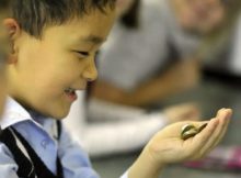 СберСтрахование жизни провела серию вебинаров по повышению финансовой грамотности для воспитанников детских домов