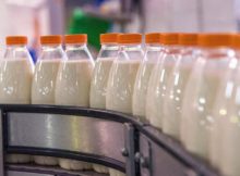 Новосибирской области нужны крупные предприятия