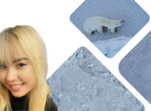 Яркое выступление Савельевой Олеси из Магадана в составе команды Digital Rover помогло занять первое место в кейсе Минприроды